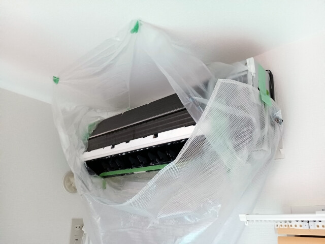 自力では解決できないケースも！専門業者への依頼のすすめ